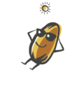 Du Soleil et des Graines